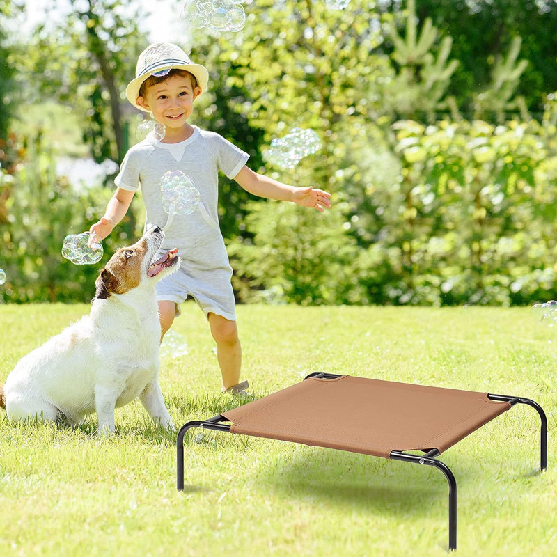 Tucker Murphy Pet™ Elevated Dog And Cat Bed Portable Elevated Pet Bed Waterproof Brown Wayfair